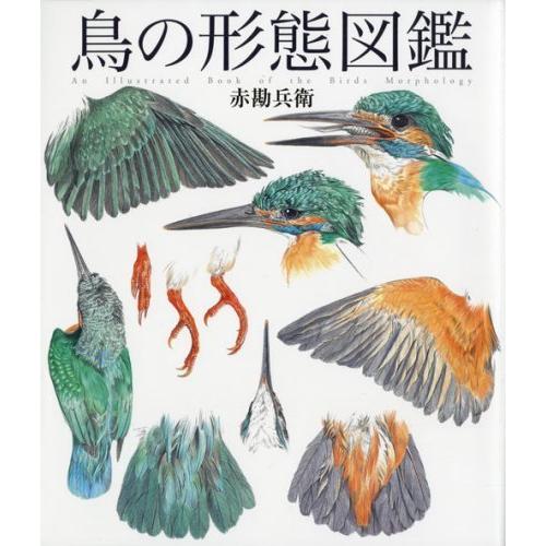 希少 鳥の形態図鑑 細密画シリーズ 早割クーポン Studiostodulky Cz