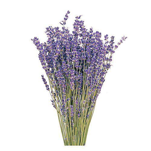 大地農園 ドライフラワー ラベンダー N Do100 000 30g入