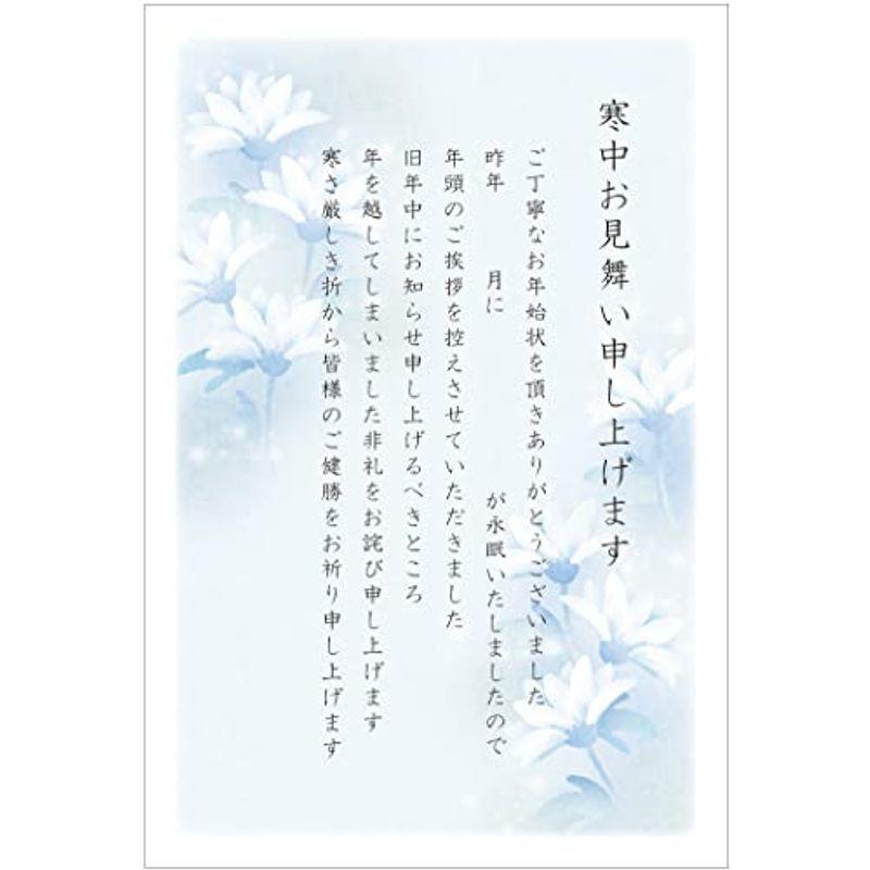 寒中見舞いはがき 喪中タイプ 10枚 手書き記入 胡蝶蘭切手付き官製ハガキ Kcm304 白菊 007 Coconina Shop 通販 Yahoo ショッピング