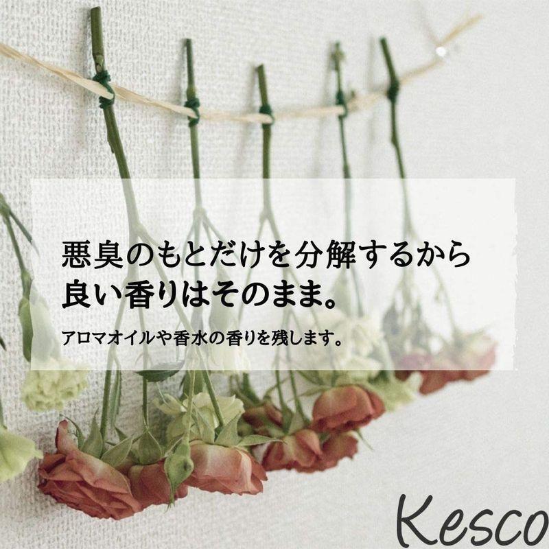 KESCO (ケスコ) スプレー本体 370ml (無香料) 3本セット