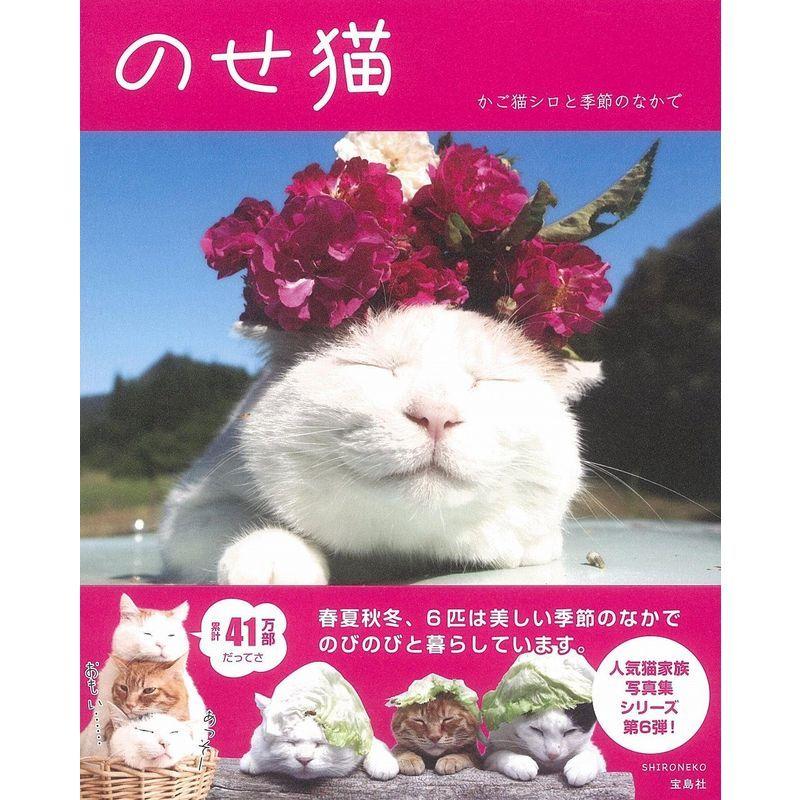 のせ猫 かご猫シロと季節のなかで Coconina Shop 通販 Yahoo ショッピング