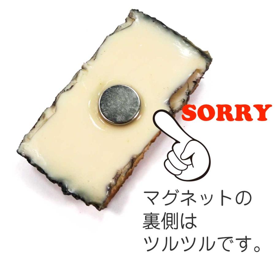 食品サンプル 食べちゃいそうな 鰻蒲焼き マグネット |  | 05