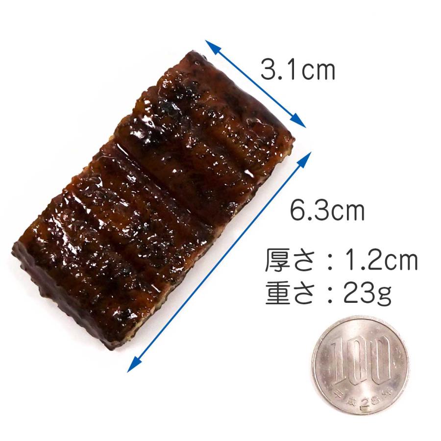 食品サンプル 食べちゃいそうな 鰻蒲焼き マグネット |  | 06