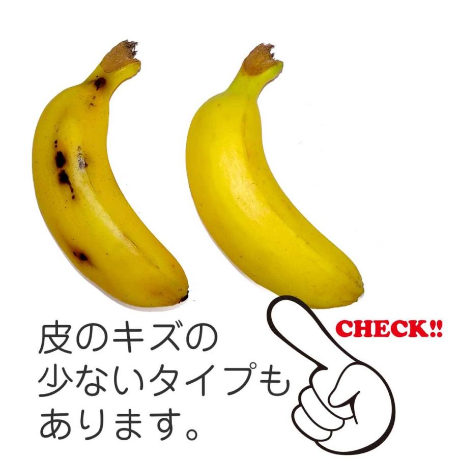 モンキーバナナ 食品サンプル : リアル食品サンプル・ココナッツ