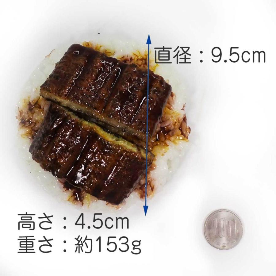 食品サンプル 鰻ご飯 ディスプレイ用 : リアル食品サンプル