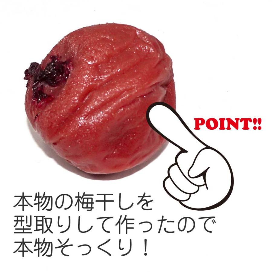 食品サンプル 食べちゃいそうな 梅干し マグネット |  | 02