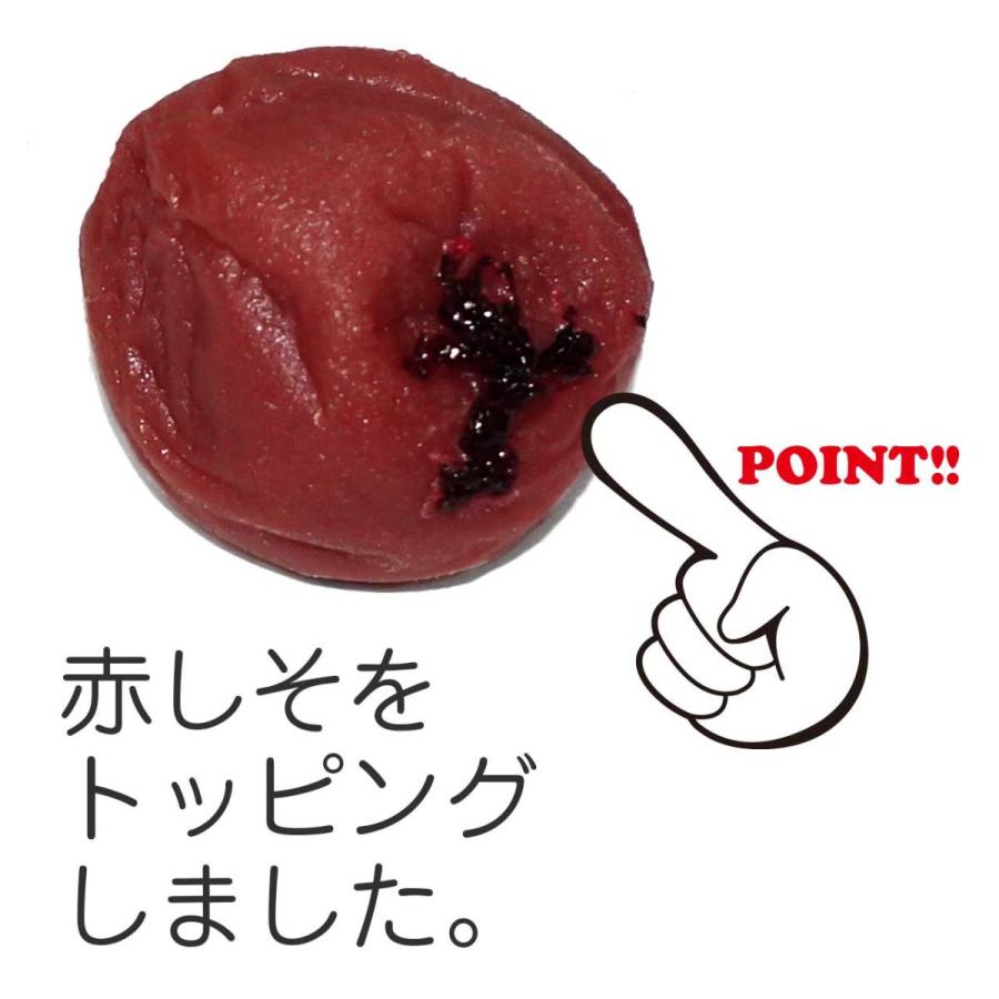 食品サンプル 食べちゃいそうな 梅干し マグネット |  | 03
