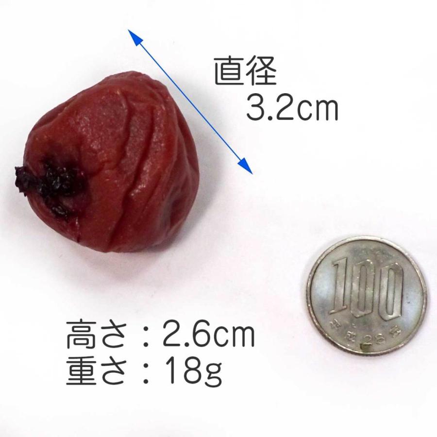 食品サンプル 食べちゃいそうな 梅干し マグネット |  | 09