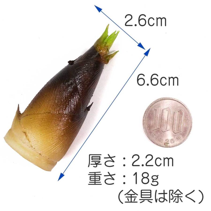 食品サンプル 食べちゃいそうな たけのこ キーホルダー ストラップ |  | 08