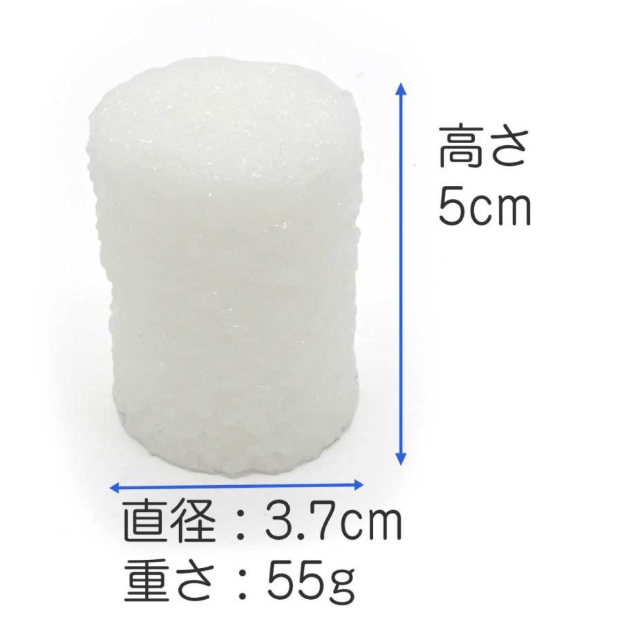 食品サンプル お供え用 お仏飯 浄土真宗大谷派東本願寺用 小サイズ |  | 02