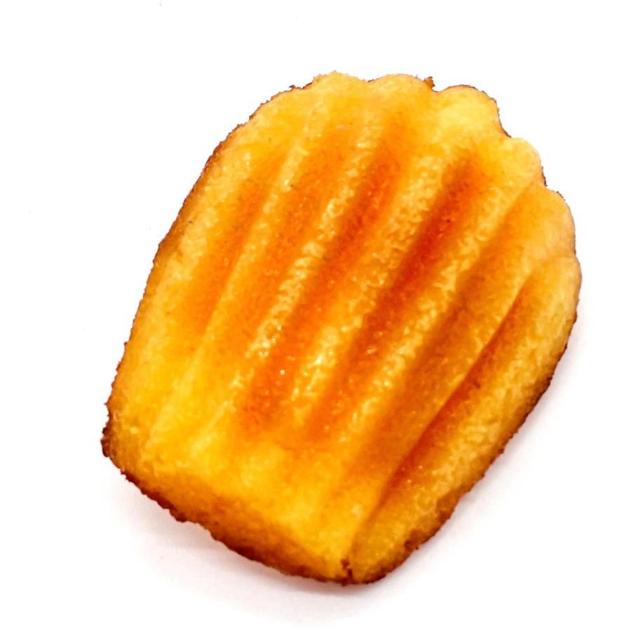 食品サンプル 食べちゃいそうな マドレーヌ マグネット | 