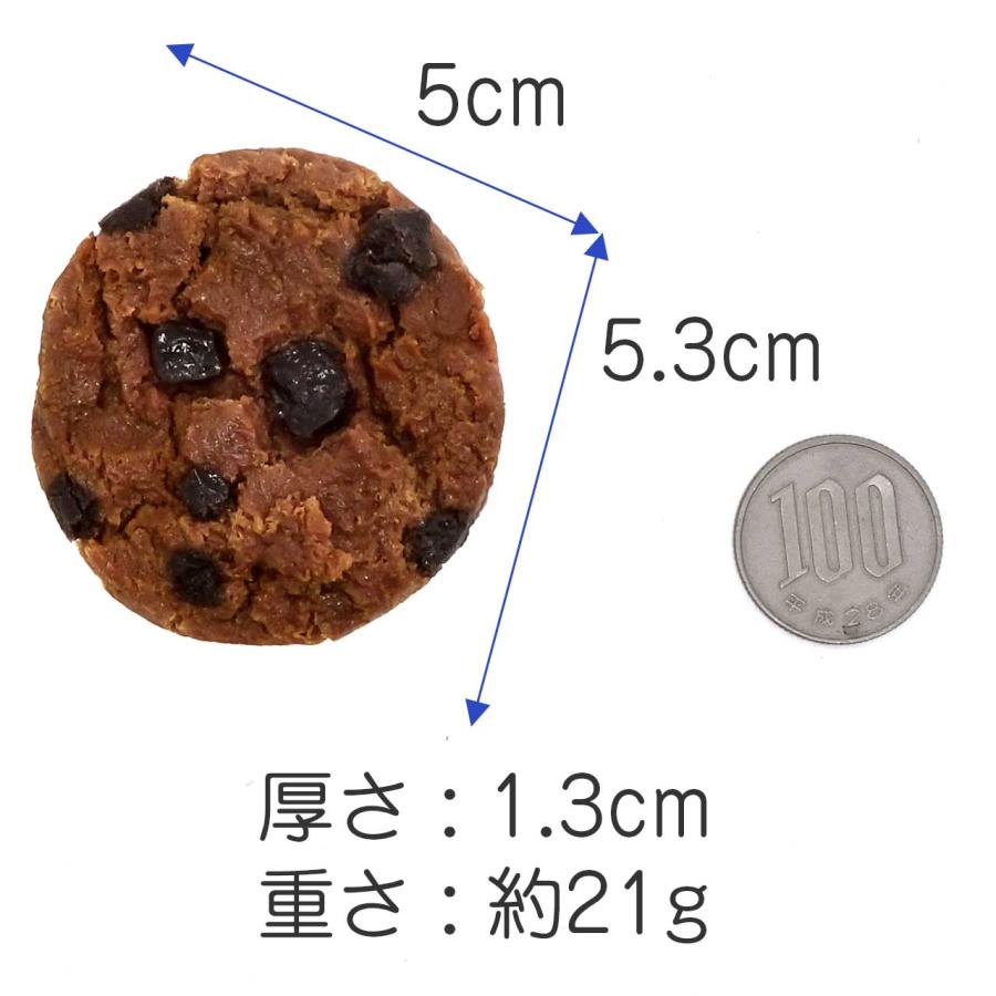 食品サンプル マグネット 食べちゃいそうな チョコチップクッキー |  | 08