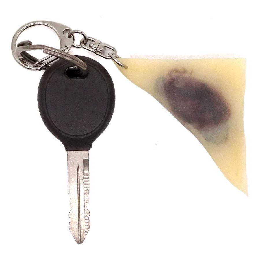 食べちゃいそうな 生八つ橋 (ニッキ・抹茶) 食品サンプル キーホルダー ストラップ マグネット |  | 01