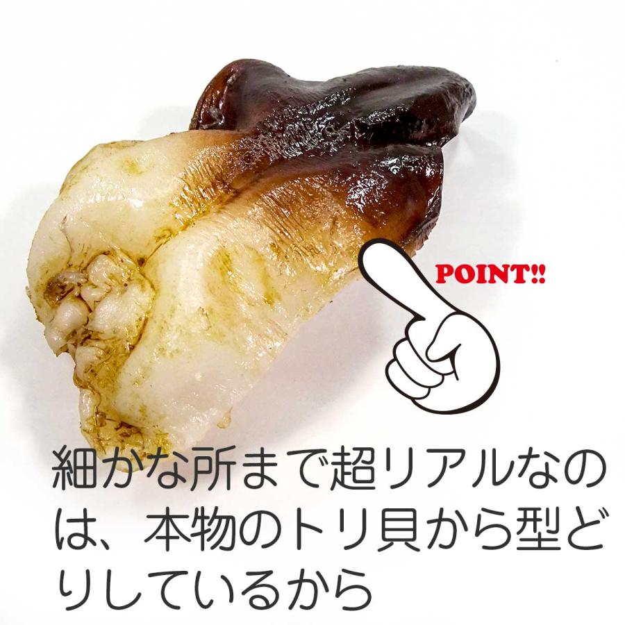 食品サンプル 食べちゃいそうな とり貝 にぎり寿司 キーホルダー ストラップ マグネット Phiq0xnpg7 リアル食品サンプル ココナッツ 通販 Yahoo ショッピング