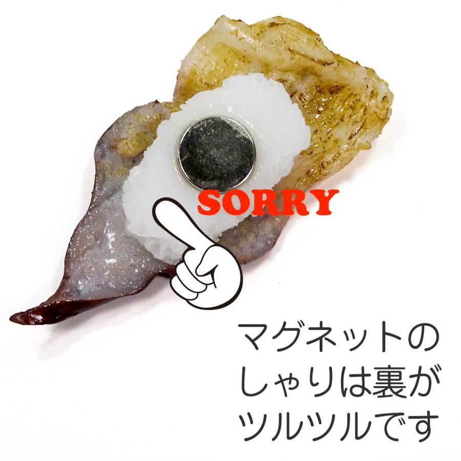 食品サンプル 食べちゃいそうな とり貝 にぎり寿司 キーホルダー ストラップ マグネット Phiq0xnpg7 リアル食品サンプル ココナッツ 通販 Yahoo ショッピング