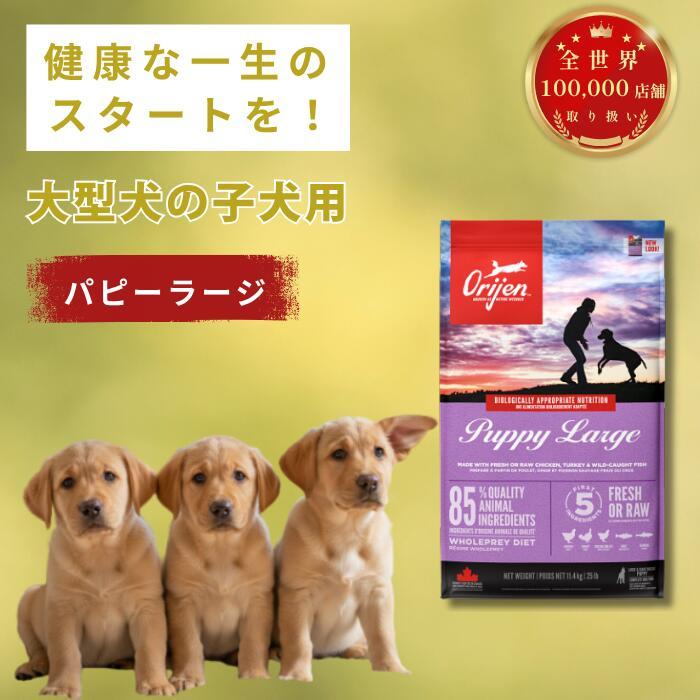 オリジン パピーラージ 子犬用 11.4gドッグフード 全犬種対応 高