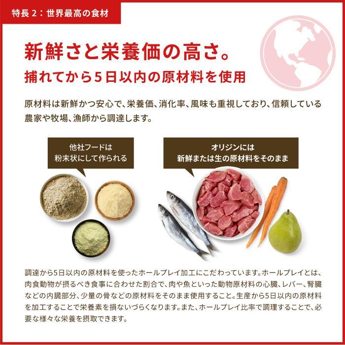 オリジン シックスフィッシュ 6kg 正規品 送料無料 全犬種 鶏肉不使用