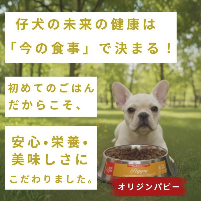 オリジン パピー 子犬用 6kg ドッグフード 全犬種対応 高たんぱく