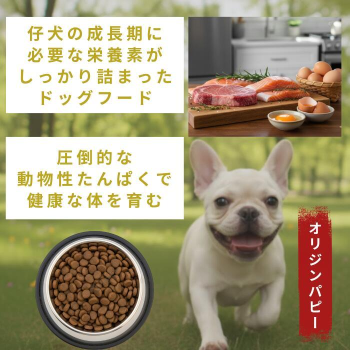 オリジン パピー 子犬用 6kg ドッグフード 全犬種対応 高たんぱく