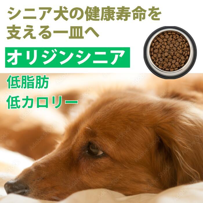 オリジン シニア 老犬 11.4kg 全犬種 放し飼い鶏 平飼い卵使用 高