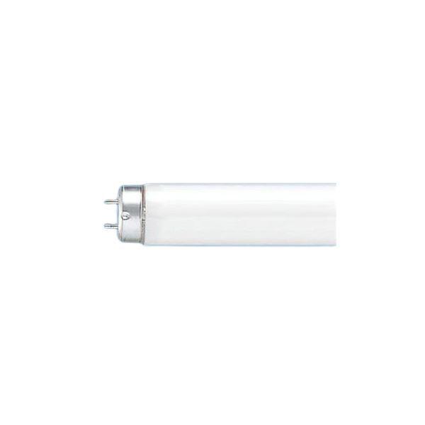 チャンピオン Panasonic 蛍光灯40w直管flr40sexnmx36f210k 昼白10本 超目玉アイテム Nutricell Co Id