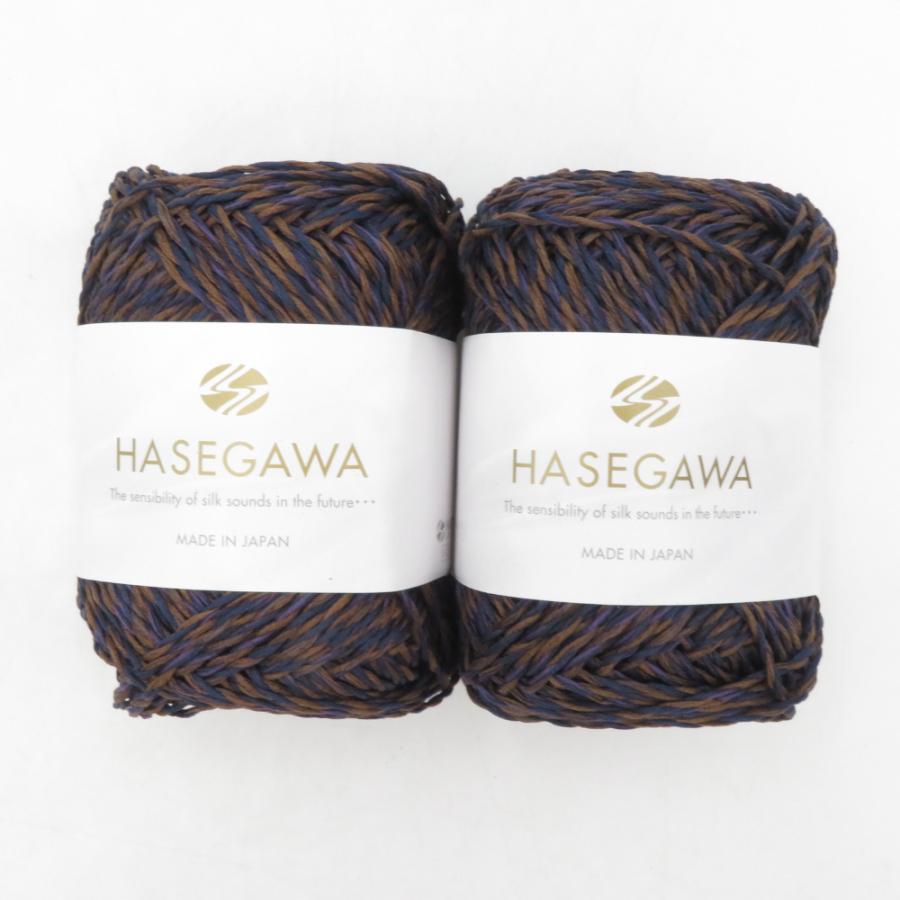 ハセガワ HASEGAWA 毛糸 シルクハセガワ サンバ 2玉セット 1玉50g巻 約 