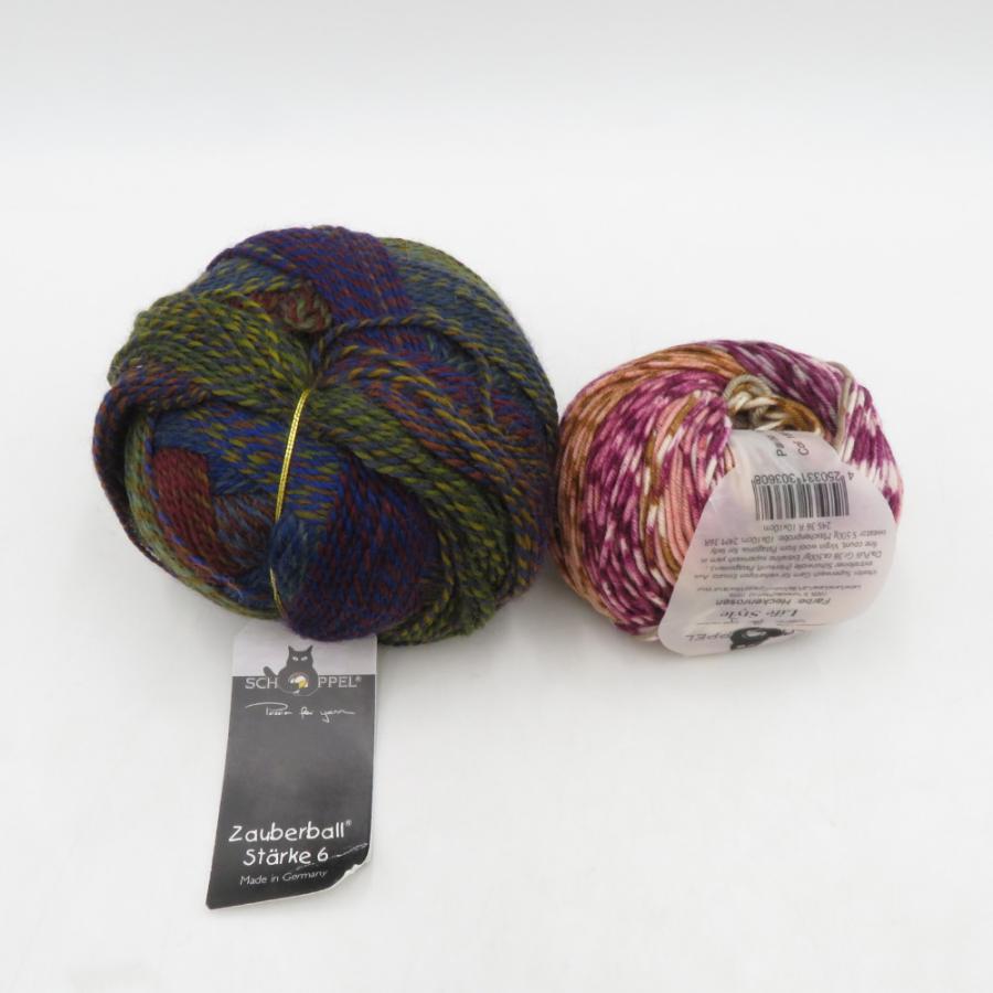 毛糸 SCHOPPEL ショッペル Zauberball starke 6/ Life style セット ザウバーボール 未使用品 |  | 01