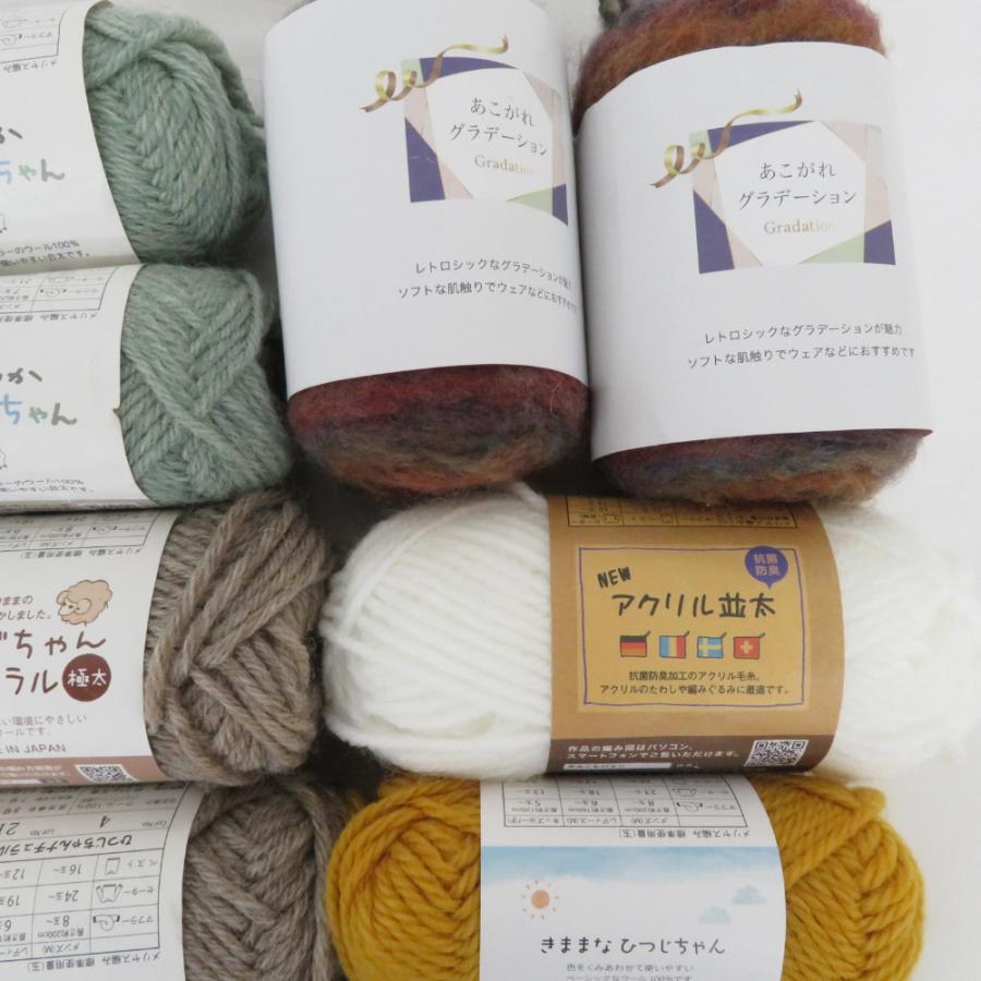 【福袋】毛糸 ごしょう産業 30玉 アソートセット もこもこ ラメ ループヤーン ファーヤーン など 秋冬おまとめ |  | 06