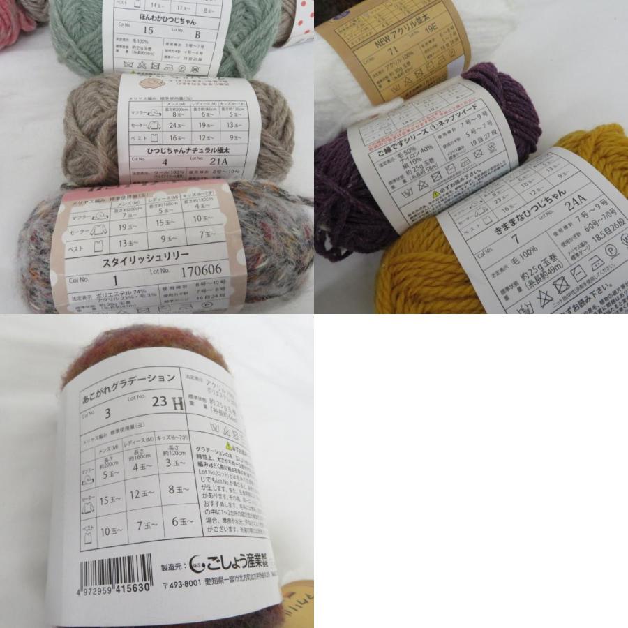 【福袋】毛糸 ごしょう産業 30玉 アソートセット もこもこ ラメ ループヤーン ファーヤーン など 秋冬おまとめ |  | 09