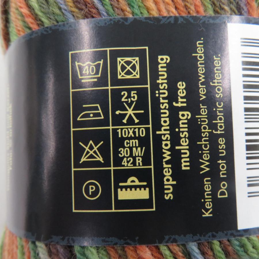 毛糸 Opal オパール Van Gogh (ヴァン・ゴッホ) 4ply 5436番色 100g玉巻 約425m ソックヤーン 未使用品 |  | 03