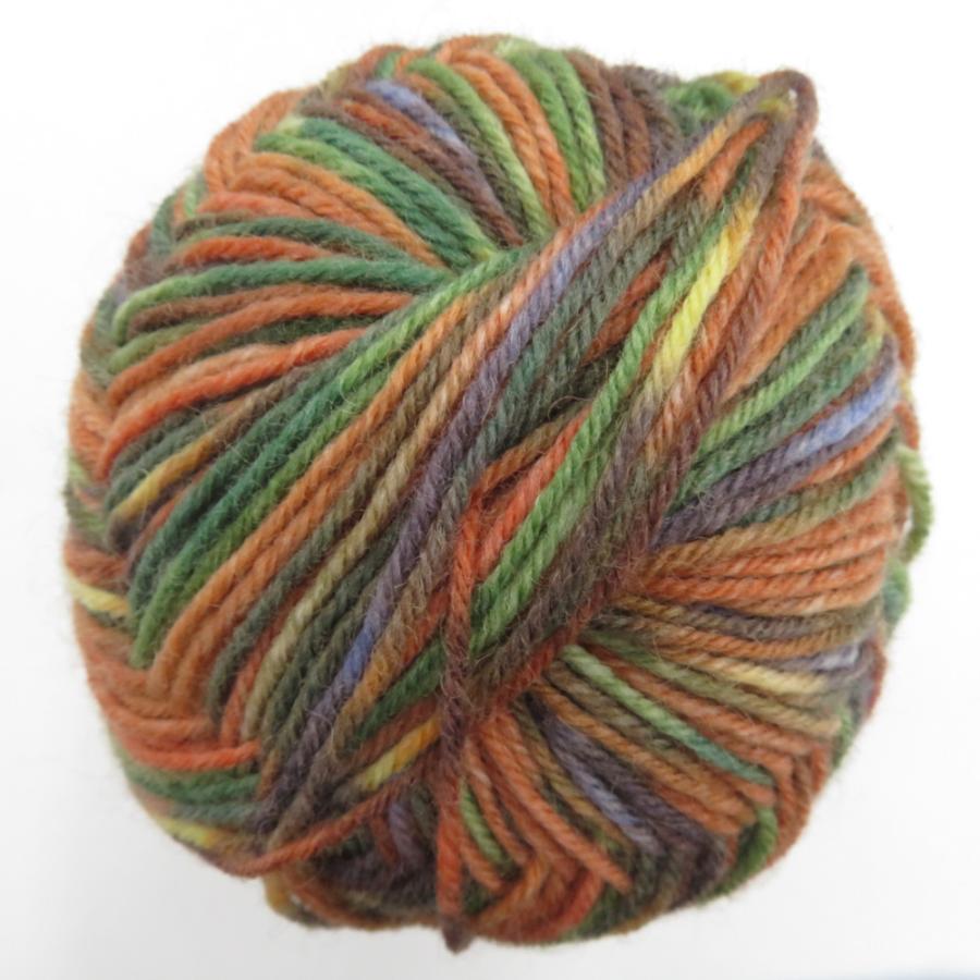 毛糸 Opal オパール Van Gogh (ヴァン・ゴッホ) 4ply 5436番色 100g玉巻 約425m ソックヤーン 未使用品 |  | 04