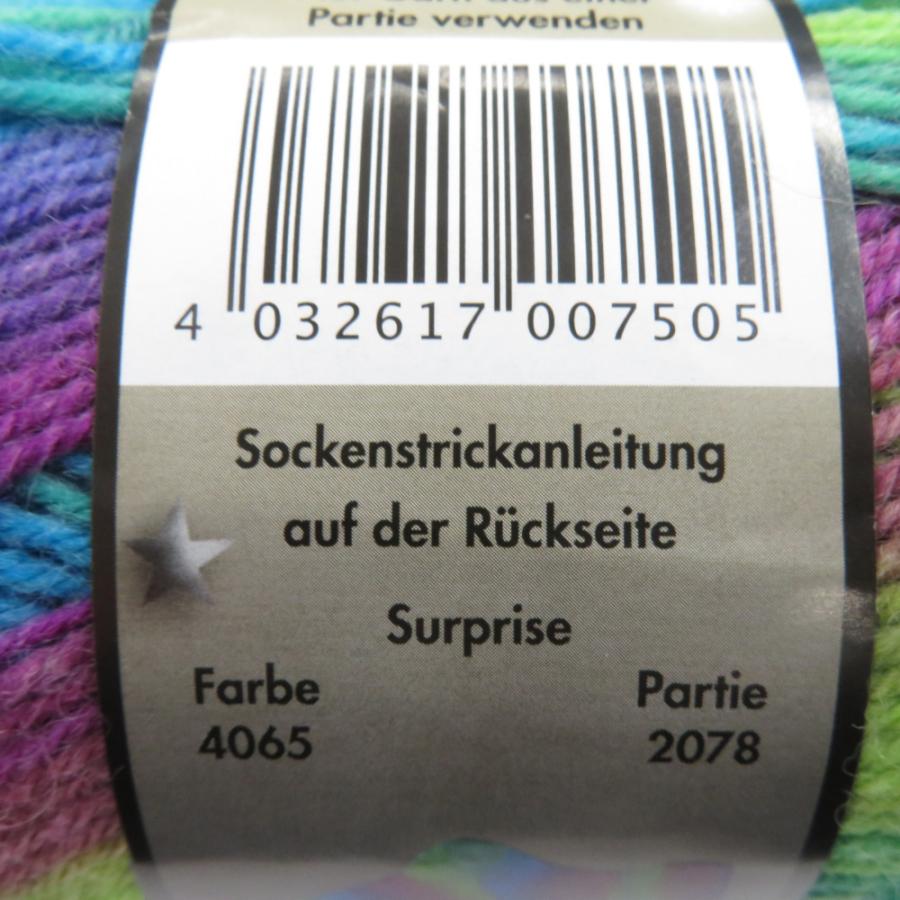 毛糸 Opal オパール サプライズ 4ply/4本撚り オーロラ 4065番色 100g玉巻 約425m ソックヤーン 未使用品 |  | 02