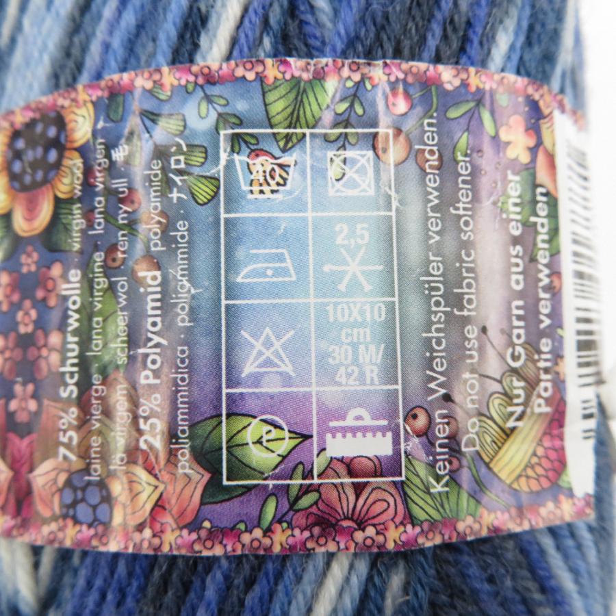 毛糸 Opal オパール  Fairytale フェアリーテイル 1玉 4ply  col.9797  1玉 100g 425ｍ ソックスヤーン 秋冬 未使用品 |  | 05