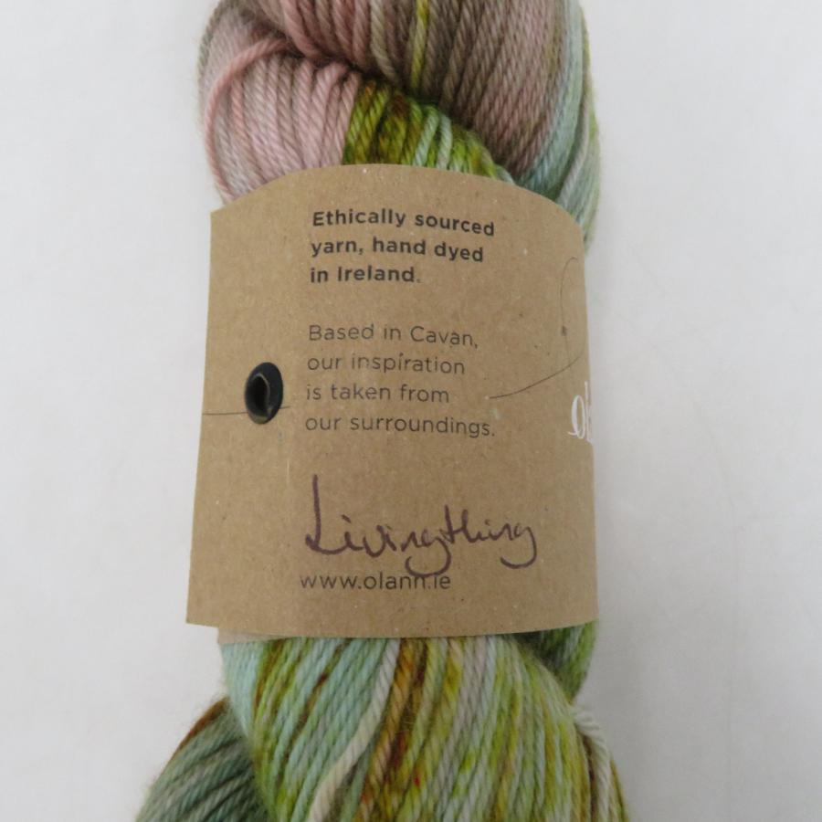 毛糸 olann Sock Lite Living thing 100gカセ 約425m 手染め糸 未使用品 |  | 02