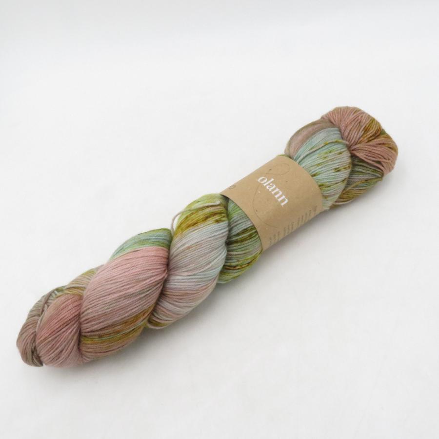 毛糸 olann Sock Lite Living thing 100gカセ 約425m 手染め糸 未使用品 |  | 04