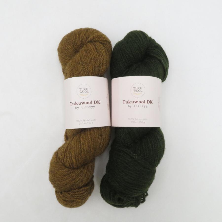 毛糸 Tukuwool DK by titityy 2カセ NILA/HAVU 100gカセ 約250m 未使用品 | 