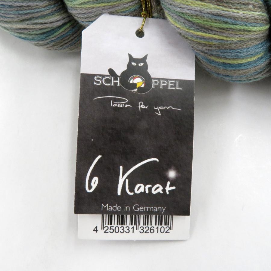 毛糸 SCHOPPEL(ショッペル) 6 KARAT シックスカラット 2268番色  100g 600ｍ 未使用品 |  | 01