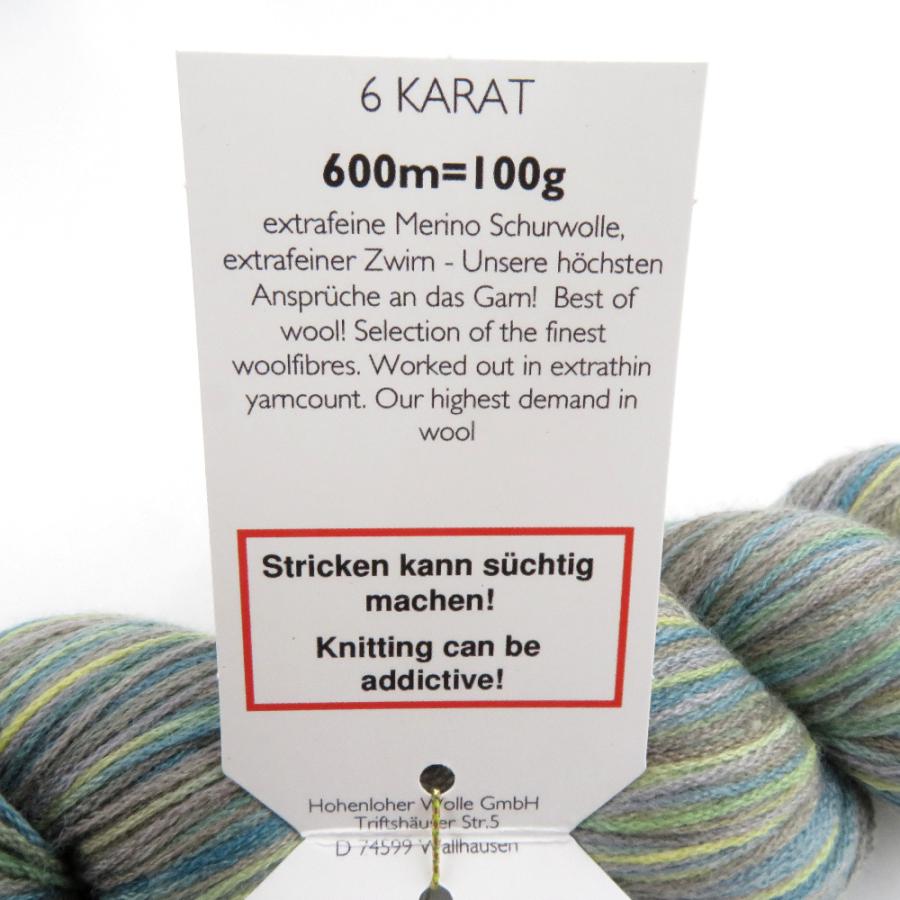 毛糸 SCHOPPEL(ショッペル) 6 KARAT シックスカラット 2268番色  100g 600ｍ 未使用品 |  | 03