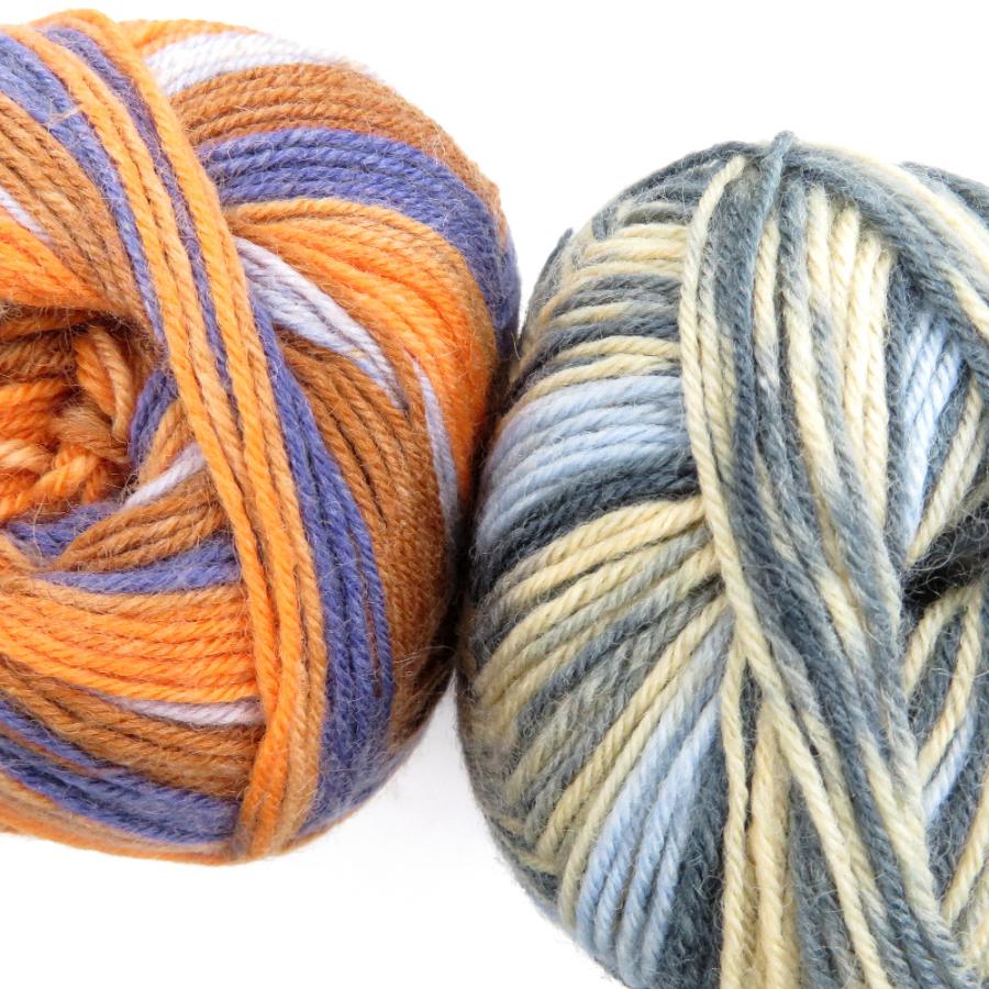 毛糸 Opal Regenwald3 レーゲンヴァルド3 復刻版 4ply 2玉セット 1玉100g ソックヤーン 靴下用 毛糸 中細 未使用品 |  | 02