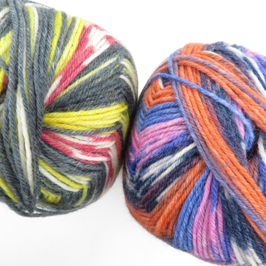 毛糸 Opal Regenwald3 レーゲンヴァルド3 復刻版 4ply 2玉セット 1玉100g ソックヤーン 靴下用 毛糸 中細 未使用品 |  | 02