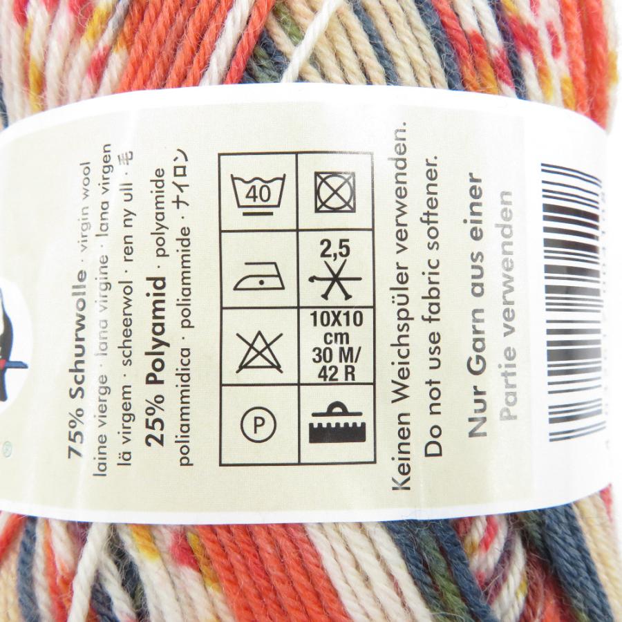 毛糸 Opal Regenwald3 レーゲンヴァルド3 復刻版 4ply 2玉セット 1玉100g ソックヤーン 靴下用 毛糸 中細 未使用品 |  | 03