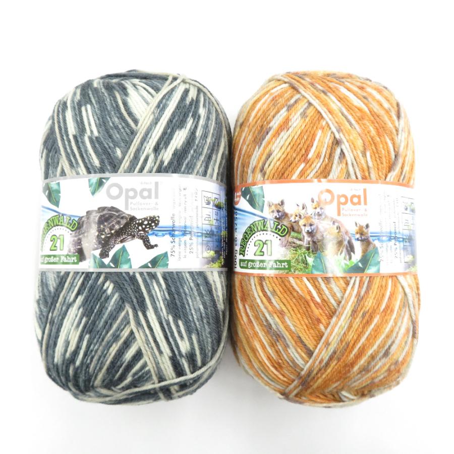 毛糸 Opal オパール レーゲンヴァルト21 4ply/4本撚り 11604 11606 2玉セット 1玉100g ソックヤーン 未使用品 | 