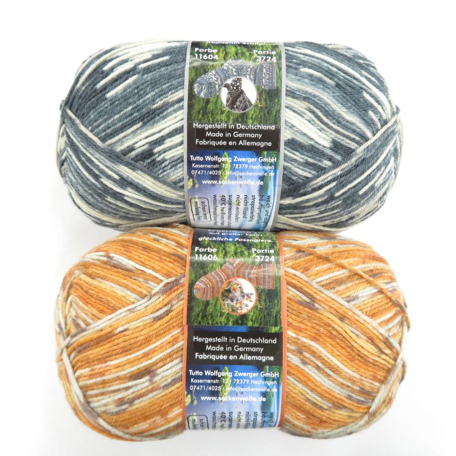 毛糸 Opal オパール レーゲンヴァルト21 4ply/4本撚り 11604 11606 2玉セット 1玉100g ソックヤーン 未使用品 |  | 01