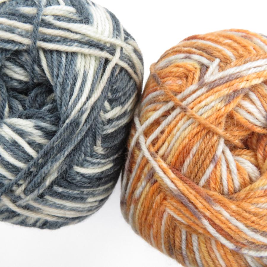 毛糸 Opal オパール レーゲンヴァルト21 4ply/4本撚り 11604 11606 2玉セット 1玉100g ソックヤーン 未使用品 |  | 02