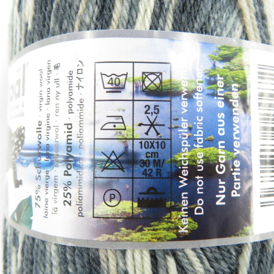 毛糸 Opal オパール レーゲンヴァルト21 4ply/4本撚り 11604 11606 2玉セット 1玉100g ソックヤーン 未使用品 |  | 03