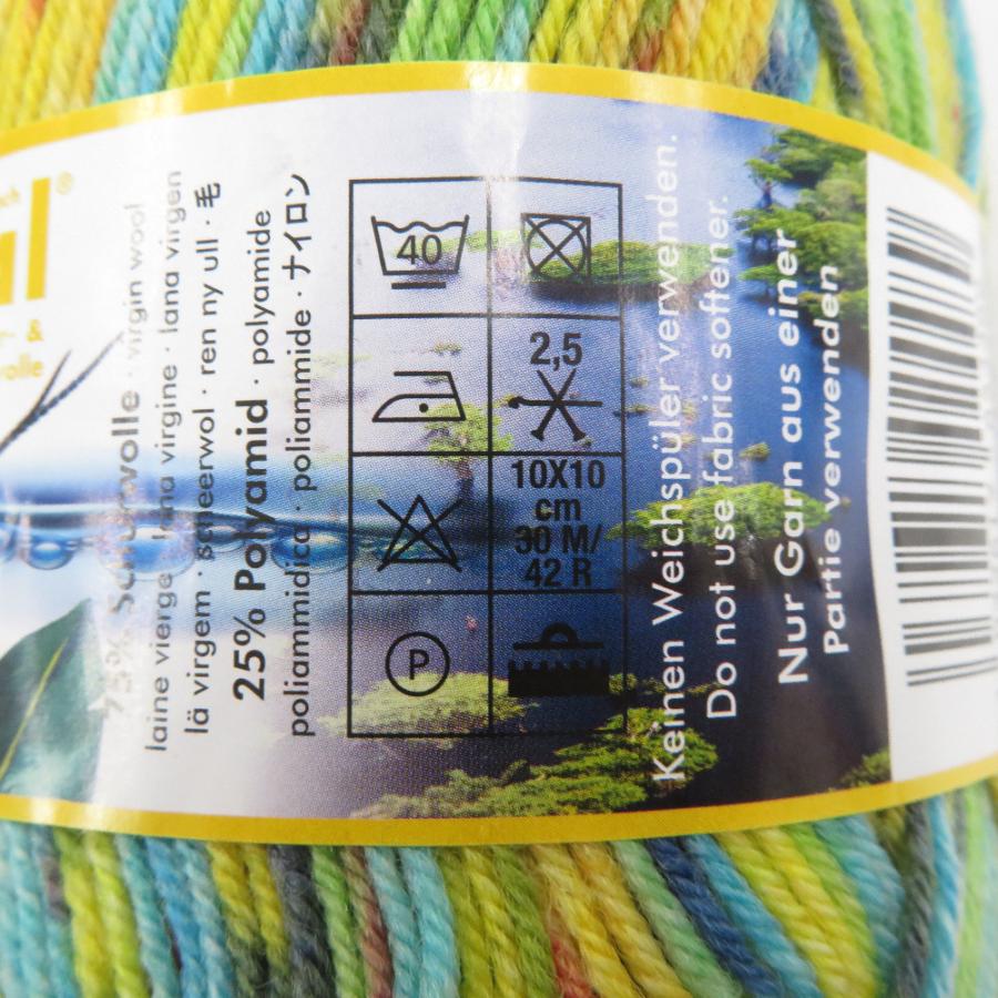 毛糸 Opal オパール レーゲンヴァルト21 4ply/4本撚り 11600 11605 2玉セット 1玉100g ソックヤーン 未使用品 |  | 03