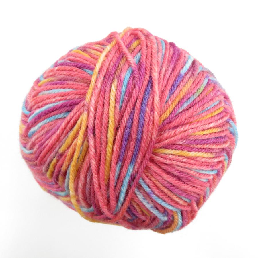 毛糸 Opal オパール Country 4ply/4本撚り 425m 100g ソックヤーン 未使用品 |  | 02