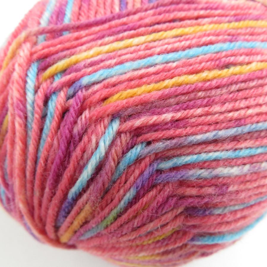 毛糸 Opal オパール Country 4ply/4本撚り 425m 100g ソックヤーン 未使用品 |  | 03