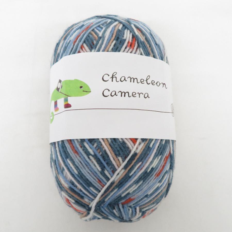 毛糸 ピエロ chameleon camera カメレオンカメラ 23番色 マルチカラー 100ｇ 約420ｍ 未使用品【中古】 | 