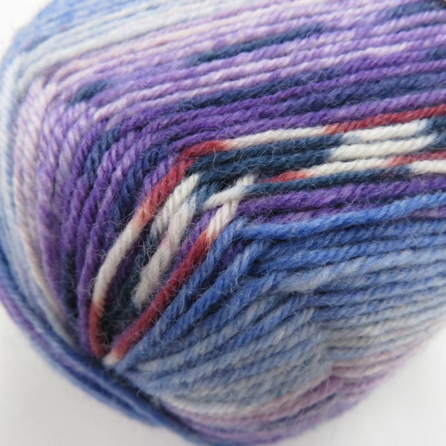 毛糸 Opal オパール Sweet & Spicy スィート＆スパイシー(復刻版) 6752番色 1玉 4ply/4本撚り 100g玉巻 約425m 未使用品 |  | 03